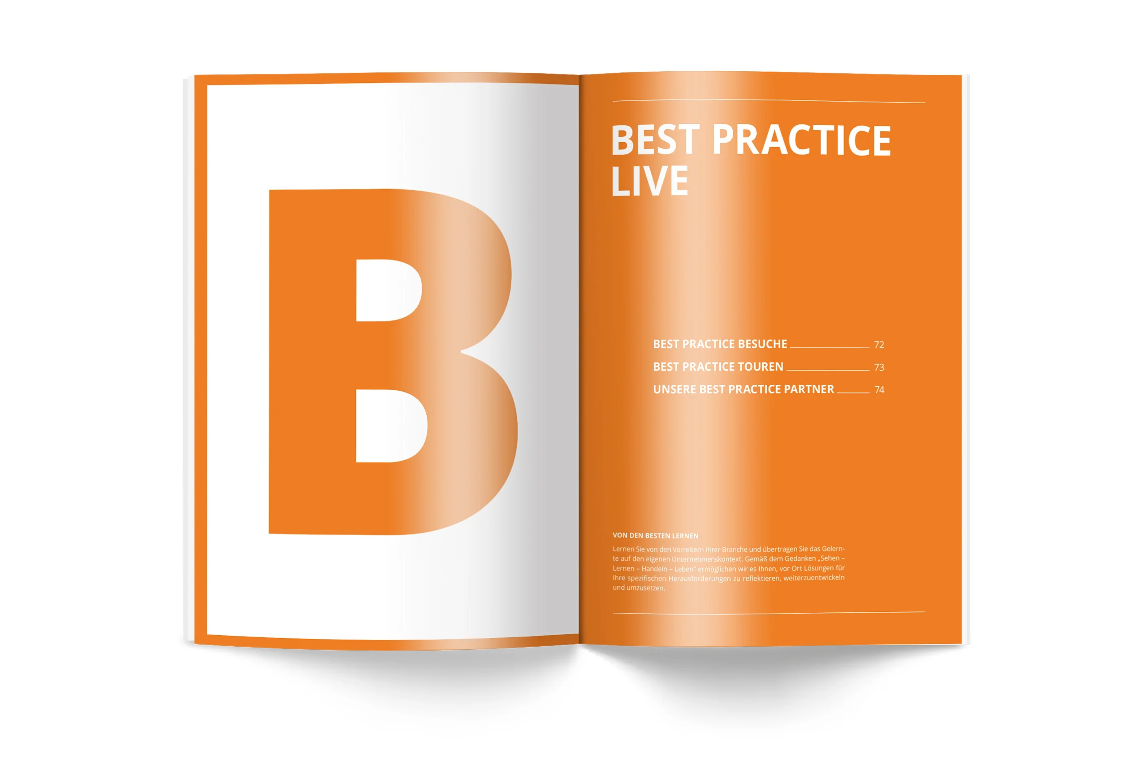 Strukturiertes Broschürendesign mit hoher Lesbarkeit für die Staufen AG Akademie